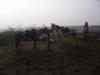Lovak ködben